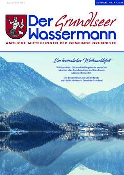 Grundlseer - GEMEINDE GRUNDLSEE