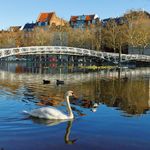 Das Akademieprogramm Januar bis April 2021 - Zeit f&uuml;r Wissen