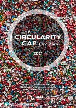 CIRCULARITY GAP summary - THE