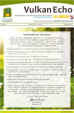 VULKAN ECHO VERBANDSGE MEINDE ULMEN