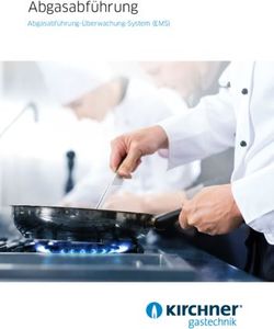 Abgasabf&uuml;hrung Abgasabf&uuml;hrung-&Uuml;berwachung-System (EMS) - Gastechnik Kirchner