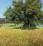 FLYER E-Bikes 2021_ EUR | de - L&Ouml;RPER Fahrrad GmbH