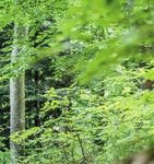 FLYER E-Bikes 2021_ EUR | de - L&Ouml;RPER Fahrrad GmbH