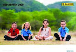 MEDIADATEN 2020 - blaufeuer.com