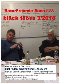 F&uuml;r Frieden - ernsthaft und konsequent - Ostermarschaufruf Bonn 2018: NaturFreunde Bonn