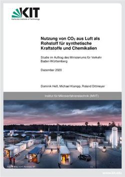 Nutzung von CO2 aus Luft als Rohstoff f&uuml;r synthetische Kraftstoffe und Chemikalien