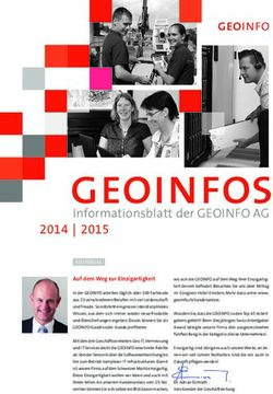 Geoinfos Informationsblatt der GEOINFO AG