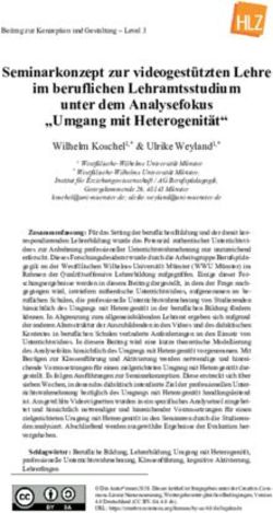 Seminarkonzept zur videogestützten Lehre im beruflichen Lehramtsstudium unter dem Analysefokus "Umgang mit Heterogenität" - Herausforderung Lehrer ...