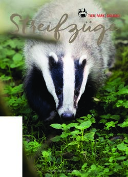 Streifzüge - und Tierpark Goldau