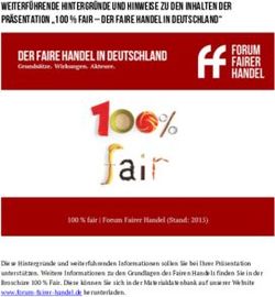 Weiterf&uuml;hrende Hintergr&uuml;nde und Hinweise zu den Inhalten der Pr&auml;sentation "100 % FAIR - Der Faire Handel in Deutschland"
