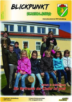 Blickpunkt - O&Ouml;VP Schiedlberg