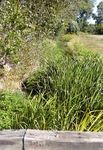 REGION LEIPZIG NATURSCHUTZ UND LANDWIRTSCHAFT IN DER - BEISPIELE AUS DER PRAXIS - EIN E HANDREICHUNG