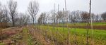 REGION LEIPZIG NATURSCHUTZ UND LANDWIRTSCHAFT IN DER - BEISPIELE AUS DER PRAXIS - EIN E HANDREICHUNG