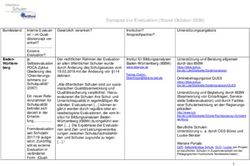 SYNOPSE ZUR EVALUATION (STAND OKTOBER 2020) - DEGEVAL