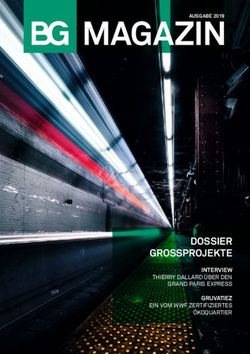 MAGAZINAUSGABE 2019 - DOSSIER GROSSPROJEKTE INTERVIEW - BG Ing&eacute;nieurs Conseils