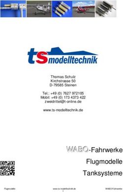 WWWAAABBBOOO-Fahrwerke Flugmodelle Tanksysteme - Thomas Schulz Kirchstrasse 50 D-79585 Steinen - TS-Modelltechnik