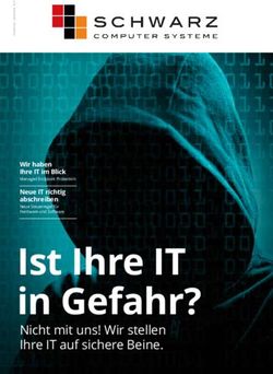 Ist Ihre IT in Gefahr? - Nicht mit uns! Wir stellen Ihre IT auf sichere Beine - Wir haben Ihre IT im Blick