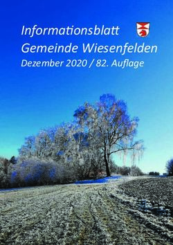 Informa onsbla Gemeinde Wiesenfelden - Dezember 2020 / 82. Auflage