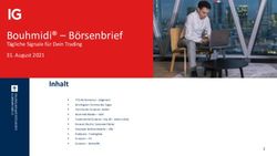 Bouhmidi - B&ouml;rsenbrief - T&auml;gliche Signale f&uuml;r Dein Trading 31. August 2021 - Bouhmidi B&ouml;rsenbrief
