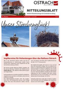 Unser Storchenglück! - bei der Gemeinde Ostrach