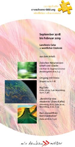 September 2018 bis Februar 2019 - Landkreis Calw + westlicher Enzkreis - Evangelische ...