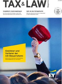 Gewinner und Verlierer der US-Steuerreform - EY