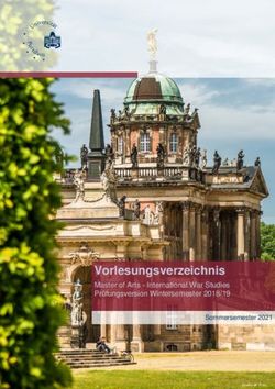 Vorlesungsverzeichnis - Master of Arts - International War Studies Prüfungsversion Wintersemester 2018/19 - Universität Potsdam