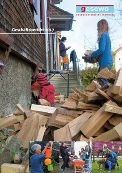 Geschäftsbericht 2017 - gesewo