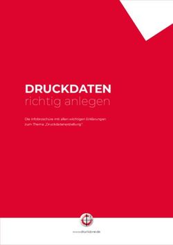 DRUCKDATEN richtig anlegen - Die Infobrosch&uuml;re mit allen wichtigen Erkl&auml;rungen zum Thema "Druckdatenerstellung" - Druckzone
