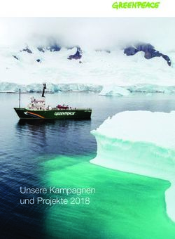 Unsere Kampagnen und Projekte 2018 - Greenpeace Schweiz