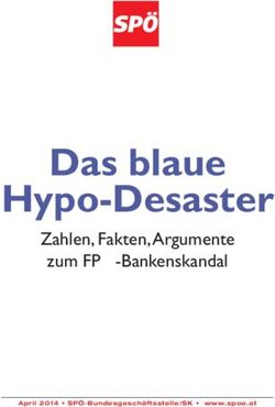 Das blaue Hypo-Desaster - Zahlen, Fakten, Argumente zum FPÖ-Bankenskandal - April 2014 SPÖ-Bundesgeschäftsstelle/SK www.spoe.at
