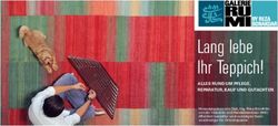 Lang lebe Ihr Teppich! - Galerie RUMI