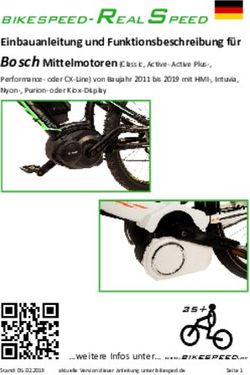 Bikespeed-RealSpeed Einbauanleitung und Funktionsbeschreibung f&uuml;r