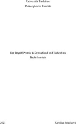 Universität Pardubice Philosophische Fakultät - Der Begriff Promis in Deutschland und Tschechien Bachelorarbeit 2021 - Univerzita Pardubice