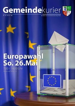 Europawahl So. 26.Mai - 7:00 - 14:00 Uhr Details auf Seite 2,3 - Gemeinde Seiersberg-Pirka