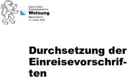 Durchsetzung der Einreisevorschriften - Weisung - Kanton Z&uuml;rich