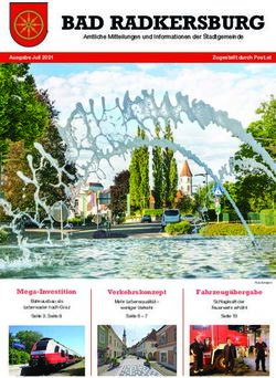 BAD RADKERSBURG - Stadtgemeinde Bad ...