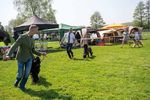 Afghanischen Windhunde - Jahresausstellung der - DOPPELVERANSTALTUNG BEIM WRV KURPFALZ IN OBERHAUSEN-RHEINHAUSEN AM 21.-22.04.2018