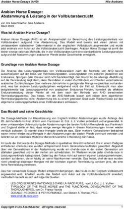 Arabian Horse Dosage: Abstammung & Leistung in der Vollblutaraberzucht