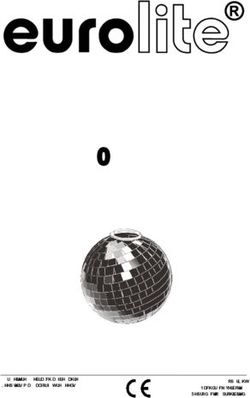 Black Mirror Ball 5cm to 20 cm - MONTAGEANLEITUNG INSTALLATION INSTRUCTIONS - LTT-Versand