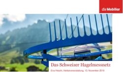 Das Schweizer Hagelmessnetz - Ena Hirschi, Herbstveranstaltung, 13. November 2019