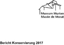 Bericht Konservierung 2017 - Museum Murten Musee de Morat