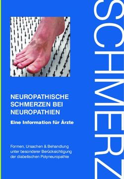 NEUROPATHISCHE SCHMERZEN BEI NEUROPATHIEN - Eine Information f&uuml;r &Auml;rzte Formen, Ursachen & Behandlung unter besonderer Ber&uuml;cksichtigung der ...