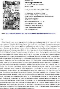 Der Junge vom Knack Leseprobe aus