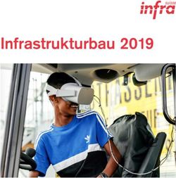 Infrastrukturbau 2019 - Infra Suisse