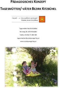 PÄDAGOGISCHES KONZEPT TAGESMÜTTER/-VÄTER BEZIRK KITZBÜHEL