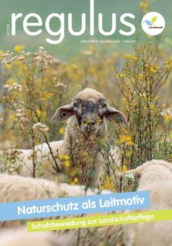 Naturschutz als Leitmotiv - Schafsbeweidung zur Landschaftspflege - z&auml;itschr&euml;ft fir natur&&euml;mwelt | Hierscht - natur&&euml;mwelt