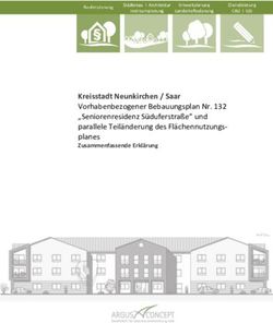 Kreisstadt Neunkirchen / Saar Vorhabenbezogener Bebauungsplan Nr. 132 "Seniorenresidenz S&uuml;duferstra&szlig;e" und parallele Teil&auml;nderung des ...