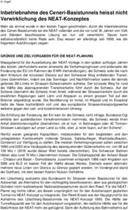 Inbetriebnahme des Ceneri-Basistunnels heisst nicht Verwirklichung des NEAT-Konzeptes