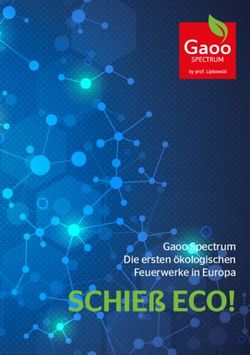 SCHIE&szlig; ECO! Gaoo Spectrum Die ersten &ouml;kologischen Feuerwerke in Europa